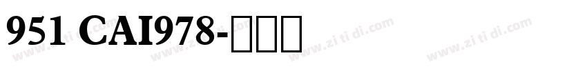 951 CAI978字体转换
